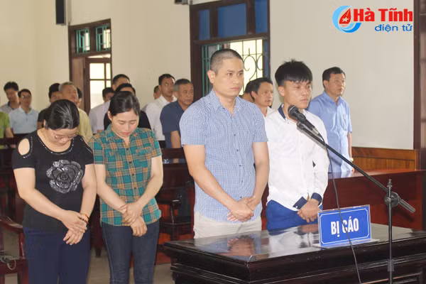 vu xu cong ty ma sci can bo thue can nghiem tuc rut kinh nghiem