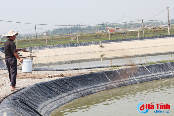 su dung che pham sinh hoc trong vu tom xuan he 2018