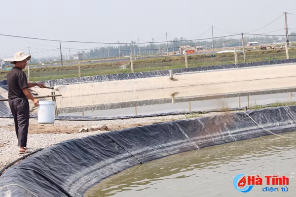 su dung che pham sinh hoc trong vu tom xuan he 2018