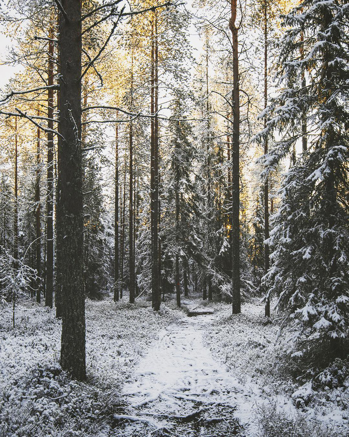 dao mua phan lan dep me hon nhin tu tren cao