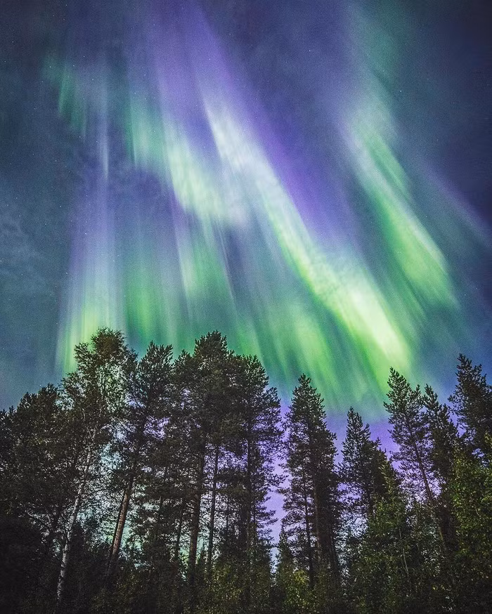 dao mua phan lan dep me hon nhin tu tren cao