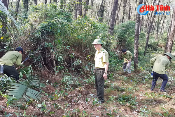 hien ke ngan chan lua rung trong mua nang nong