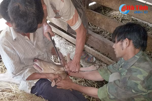 xay dung cho dung cho nhung huou huong son