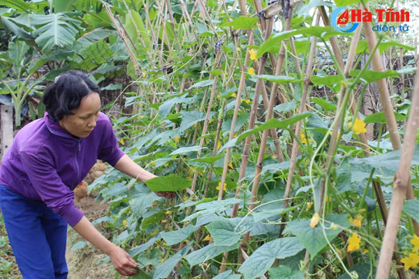 tu duy moi nen tang xay dung ntm kieu mau o thach ha