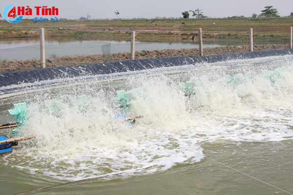 su dung che pham sinh hoc trong vu tom xuan he 2018