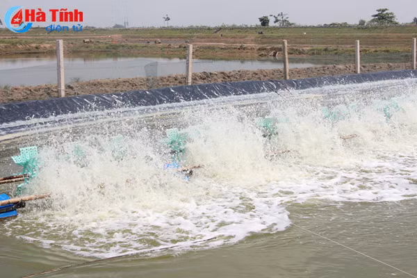 su dung che pham sinh hoc trong vu tom xuan he 2018