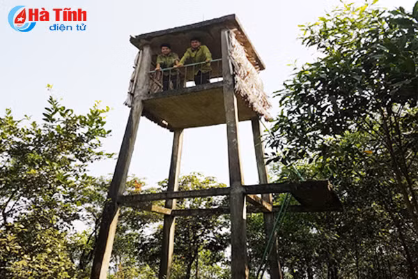 hien ke ngan chan lua rung trong mua nang nong