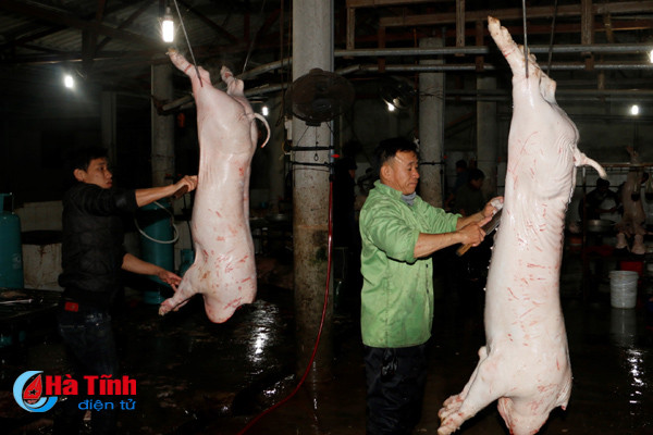 ha tinh 33 xa giet mo gia suc trai quy dinh