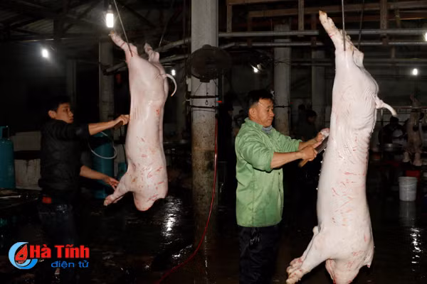 ha tinh 33 xa giet mo gia suc trai quy dinh