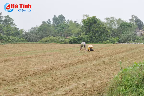 thoi tiet lam kho nguoi trong duoc lieu ha tinh