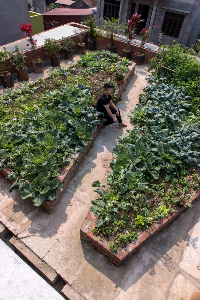 cong trinh cua kts ha tinh len tap chi kien truc danh tieng cua my