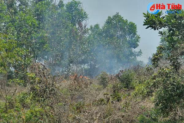 xu ly thuc bi bang lua rinh rap nguy co chay rung