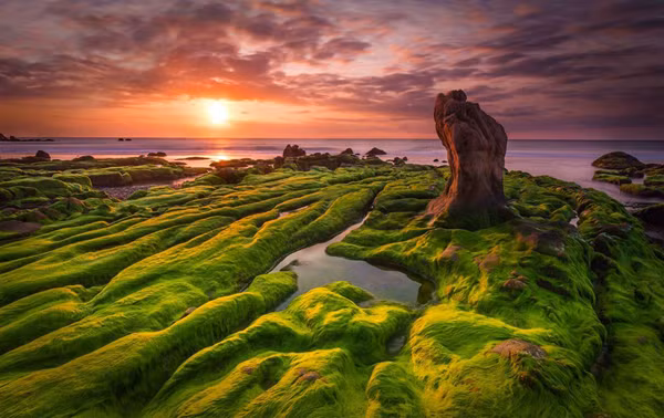 nhiep anh gia ha tinh giu ky luc tren tap chi danh tieng national geographic