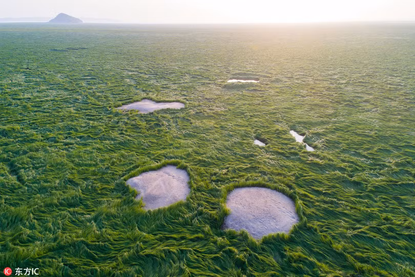 han han bien ho nuoc ngot lon nhat trung quoc thanh dong co