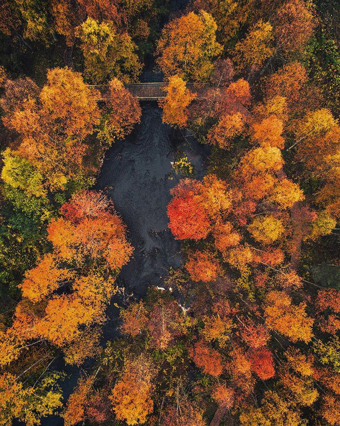 dao mua phan lan dep me hon nhin tu tren cao
