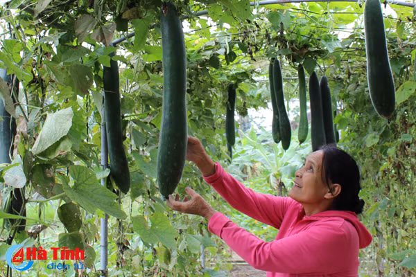 tu duy moi nen tang xay dung ntm kieu mau o thach ha