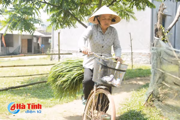 Cuộc đời khốn khó của người phụ nữ từng cứu hàng chục người bị chìm đò