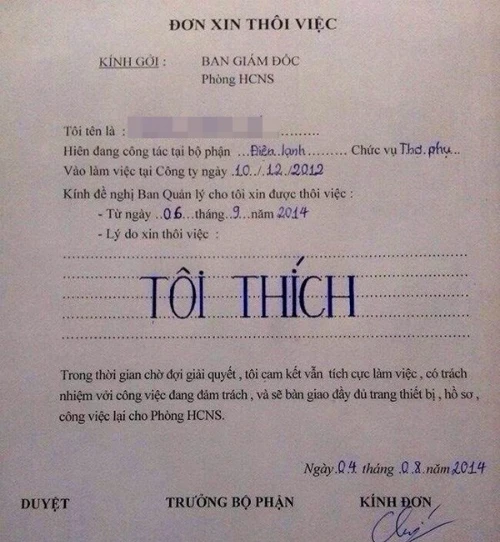 nhung la don xin nghi viec chat nhat viet nam