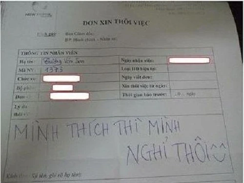 nhung la don xin nghi viec chat nhat viet nam