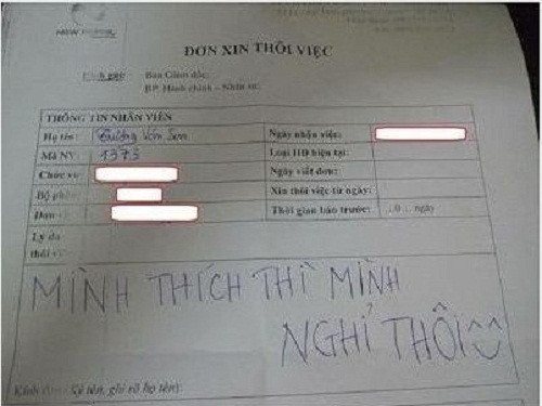 nhung la don xin nghi viec chat nhat viet nam