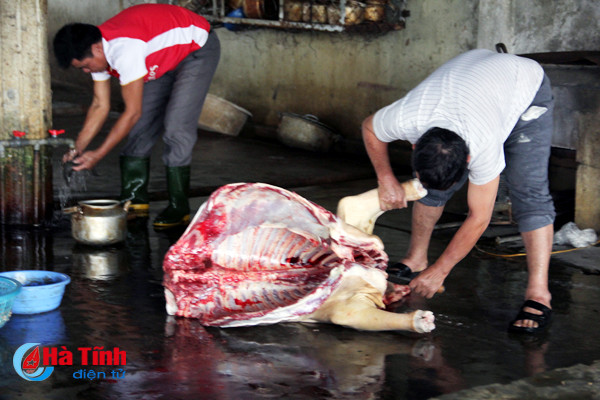 ha tinh 33 xa giet mo gia suc trai quy dinh