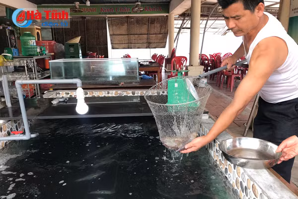 video den thien cam da co muc nhay ngon nhu vung ang