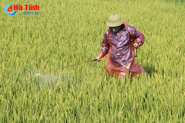 bao dong dao on co bong nguoi dan nghi xuan van binh chan nhu vai