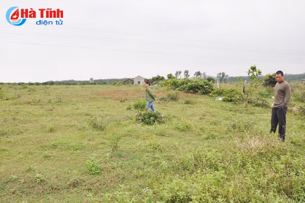 trong ca gai leo va nhung van de dat ra trong lien ket