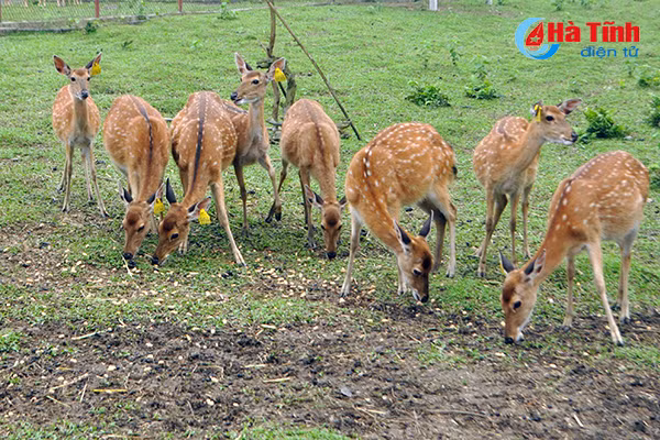 xay dung cho dung cho nhung huou huong son