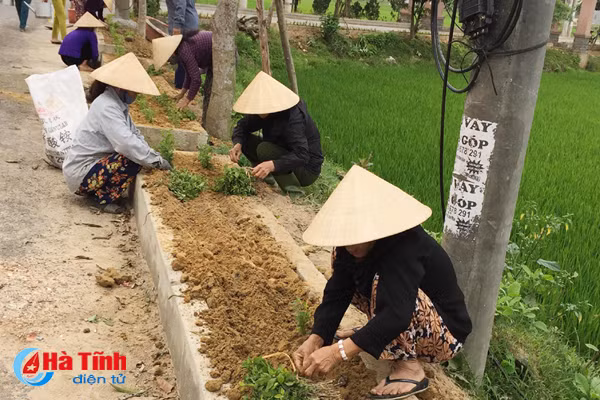 tu duy moi nen tang xay dung ntm kieu mau o thach ha