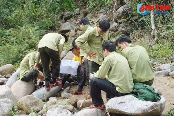 hien ke ngan chan lua rung trong mua nang nong