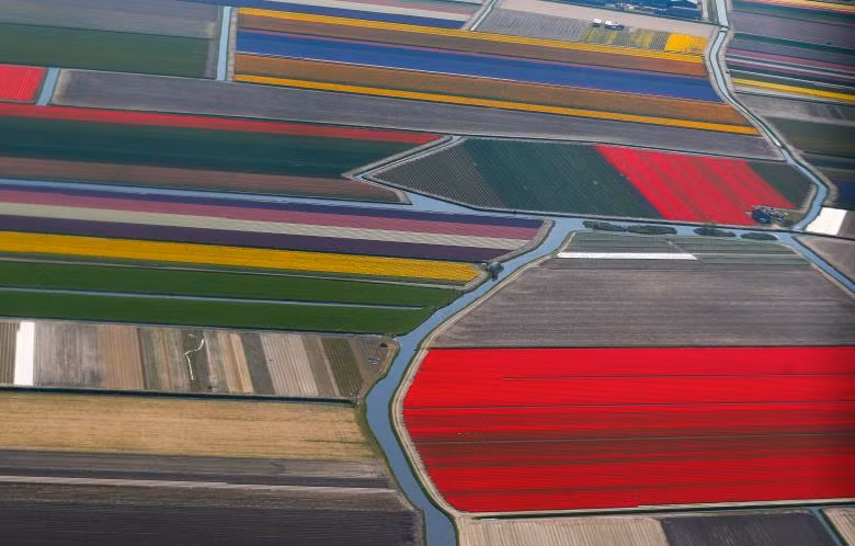 canh dong hoa tulip o ha lan dep nhu tranh ve khi nhin tu tren cao