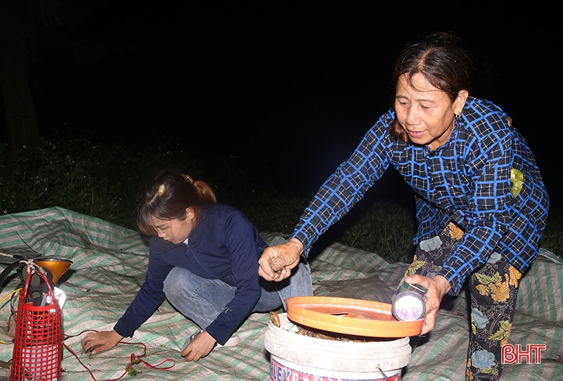 Người dân Nghi Xuân team đèn săn bắn “đặc sản” bọ vừng