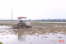 Nông dân Đức Quang phấn khởi vào mùa vụ mới