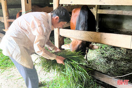 Tín dụng chính sách "thắp" niềm hy vọng cho những người từng lầm lỡ