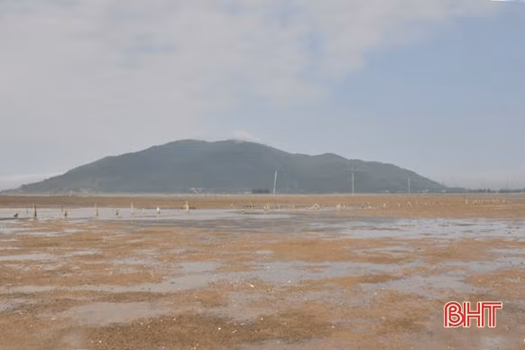 Giám đốc hợp tác xã năng động, nâng tầm giá trị ngao thương phẩm Mai Phụ