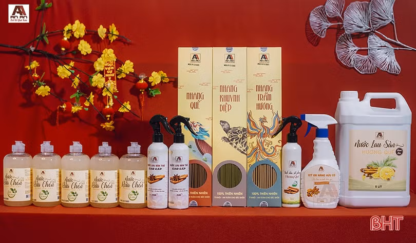 Viettel Post Hà Tĩnh và AVE Group hợp tác phân phối sản phẩm đến người tiêu dùng