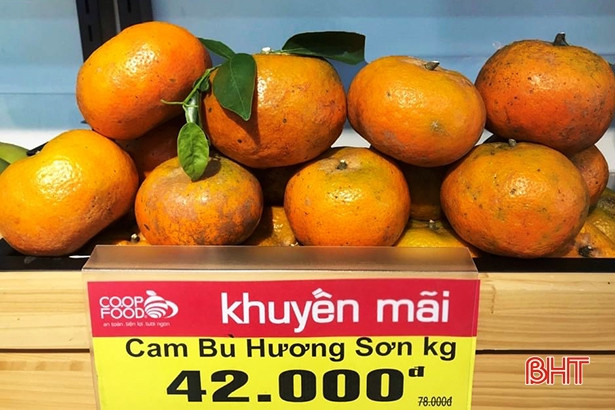 Đặc sản cam bù Hà Tĩnh lên kệ Co.op Food ở TP Hồ Chí Minh