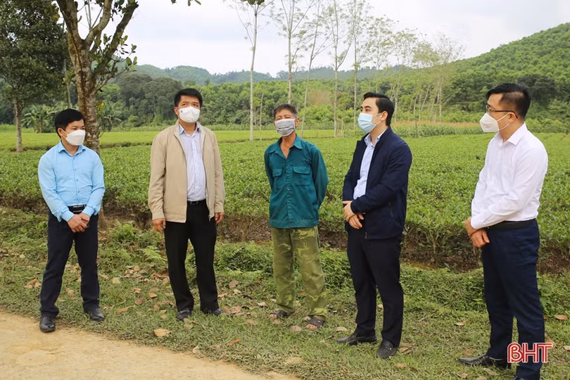 Các hộ đội viên Tổng đội Tây Sơn tích cực đẩy mạnh phát triển sản xuất