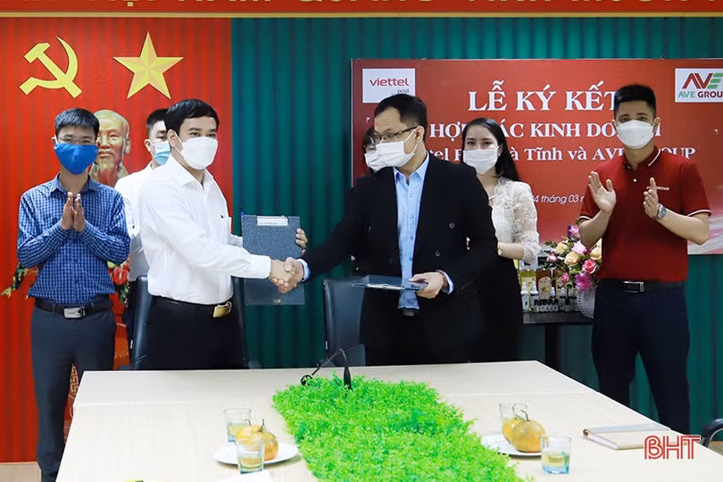 Viettel Post Hà Tĩnh và AVE Group hợp tác phân phối sản phẩm đến người tiêu dùng