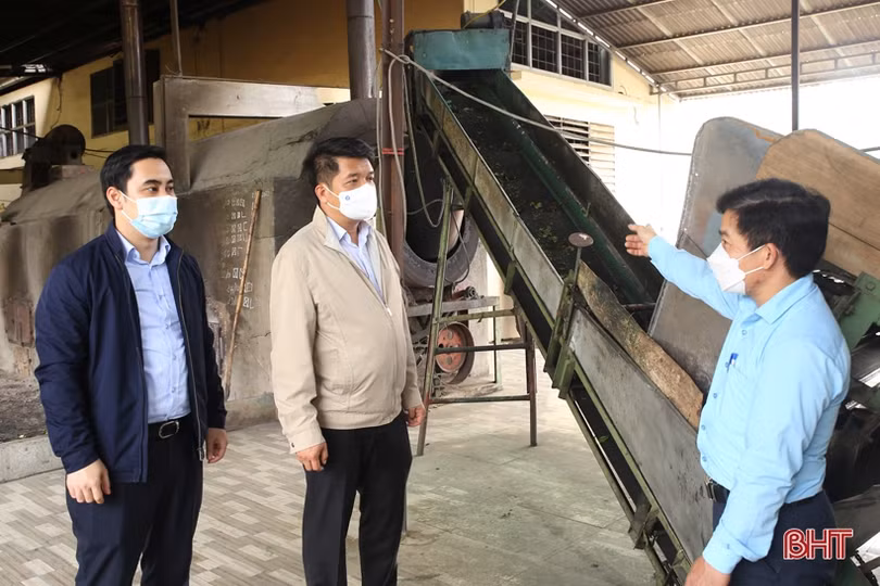 Các hộ đội viên Tổng đội Tây Sơn tích cực đẩy mạnh phát triển sản xuất