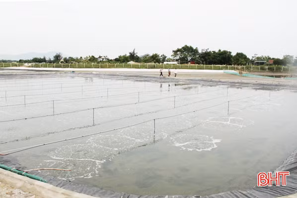 Giám đốc hợp tác xã năng động, nâng tầm giá trị ngao thương phẩm Mai Phụ