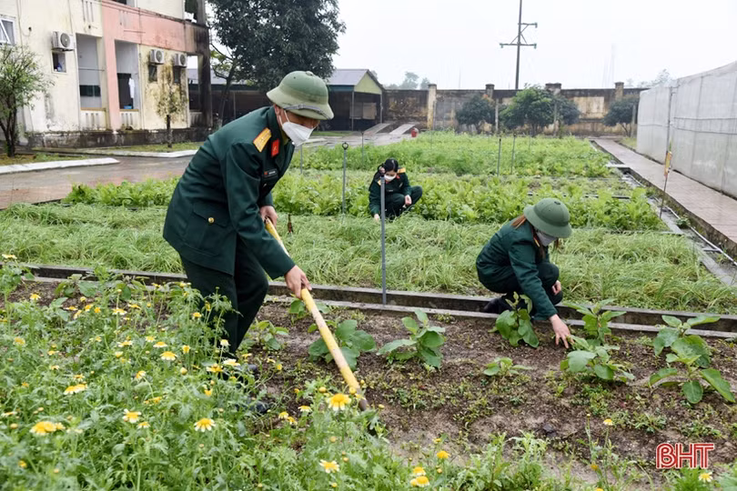 Rau quả đầy luống, gia súc kín chuồng ở các vườn tăng gia của LLVT Hà Tĩnh