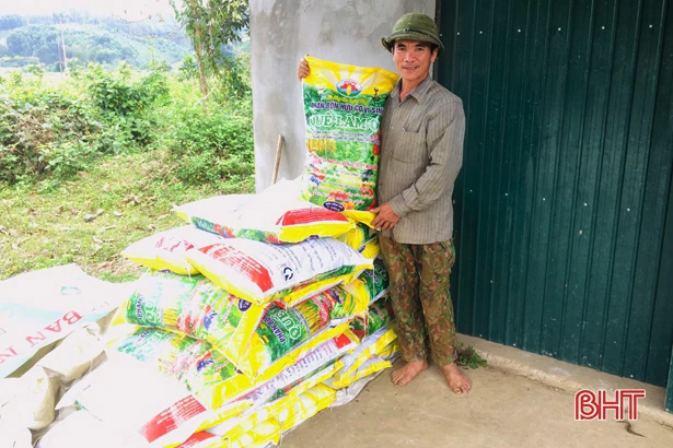 Người dân Vũ Quang chăm sóc cam thế nào khi giá phân bón hóa học tăng mạnh?