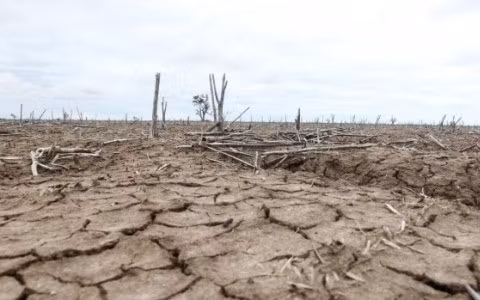 60 triệu người trên khắp thế giới chịu ảnh hưởng của El Nino ảnh 1