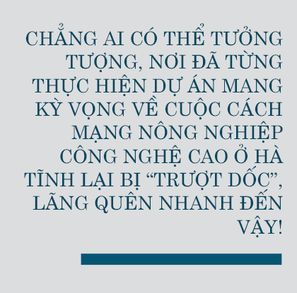 Vụ đông hàng hóa và những bước lùi” (bài 1): Đâu rồi những cánh đồng liên kết “thẳng cánh cò bay”?!