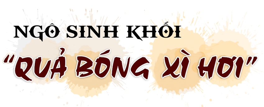 Vụ đông hàng hóa và những bước lùi” (bài 1): Đâu rồi những cánh đồng liên kết “thẳng cánh cò bay”?!