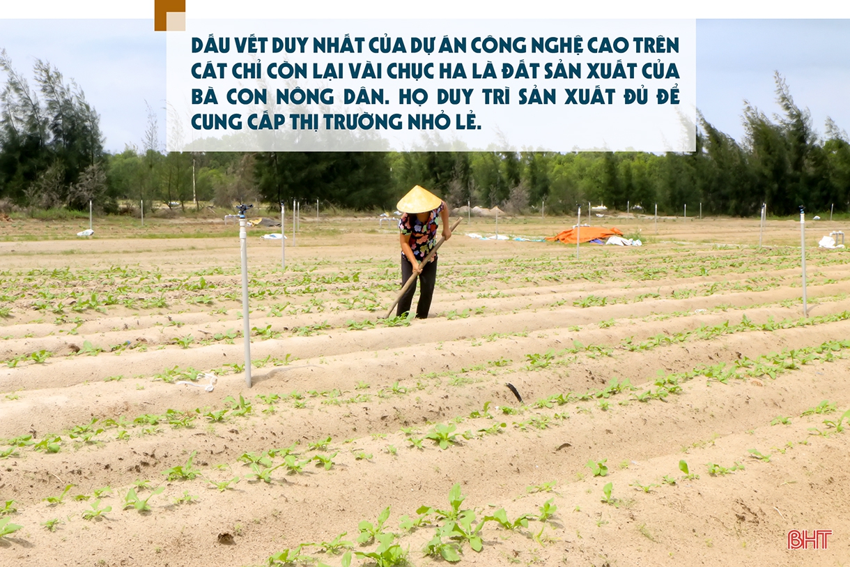 Vụ đông hàng hóa và những bước lùi” (bài 1): Đâu rồi những cánh đồng liên kết “thẳng cánh cò bay”?!