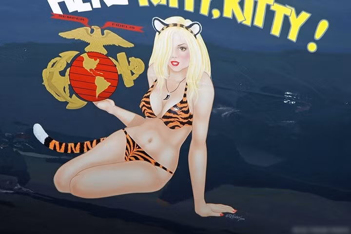 suc manh cua sieu pham may bay tiem kich grumman tigercat