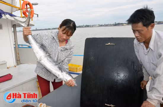dao tao nghe vung anh huong su co moi truong o ha tinh nhieu tin hieu kha quan